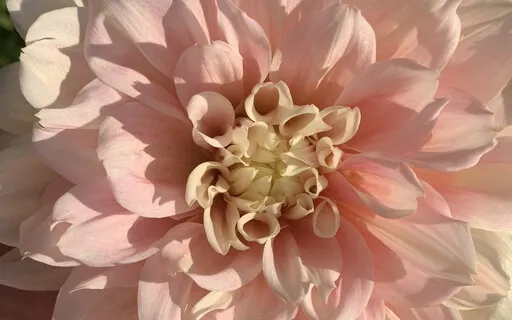 "Make Your 24 Hours Count!" Morning Meditation 