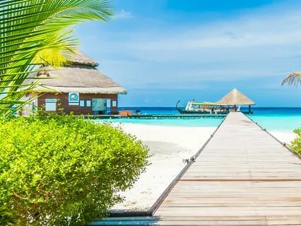 Make Your Dreams Come True