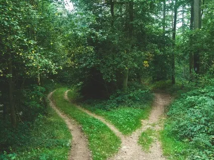 Making A Decision (A Somatic Practice)