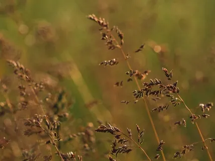 Making A Spiritual Budget