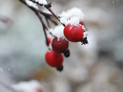 Making A Stand For Love - Jan 19