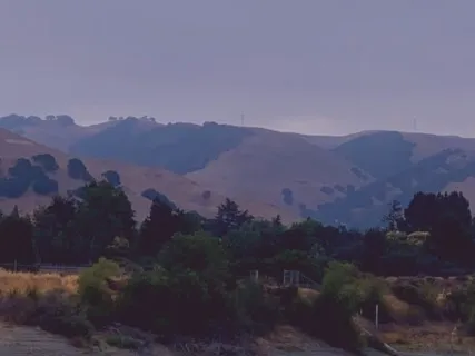 Making Abundance Flow Freely