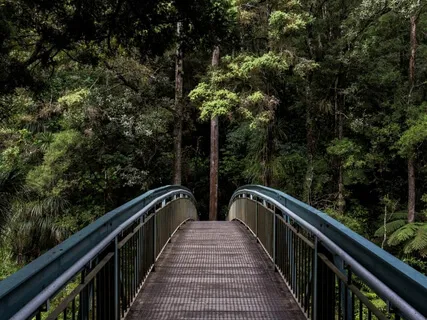 Making Better Choices In Response To Triggers & Trauma