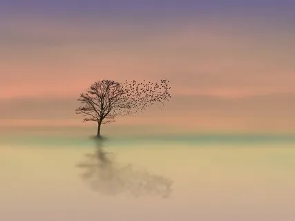 Making Changes - Reflection