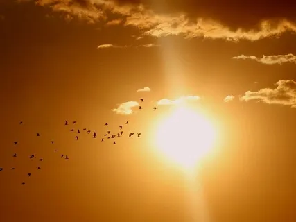 Making Difficult Decisions With Wisdom