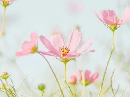 Making Friends With Our Thinking