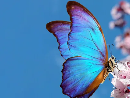 Making Friends With Your Inner Critic