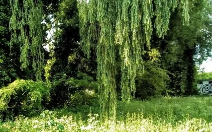 Making Molehills Out Of Mountains