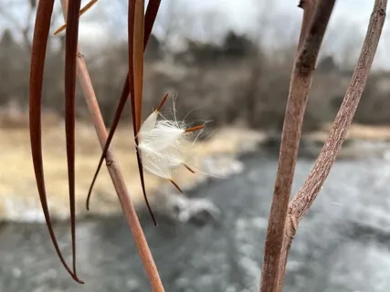 Making More Room Walking Meditation