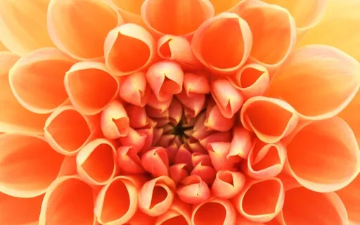 Making Peace With Aging