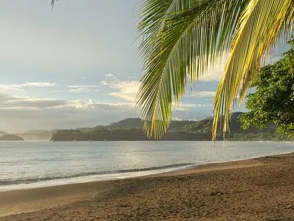 Trusting The Unknown