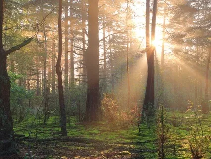 Making Peace With Dread   (The Personal Kind)