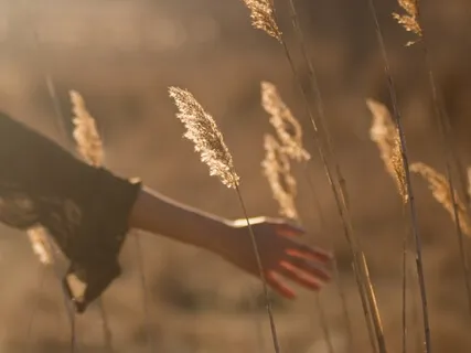 Making Peace With Physical Discomfort 