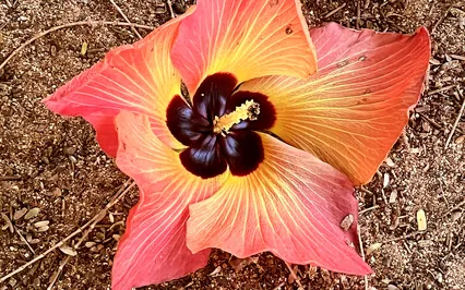 Making Peace With Your Self