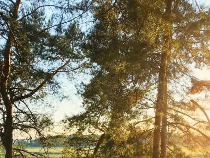 Finding Calm Now: Meeting Anxiety With Presence