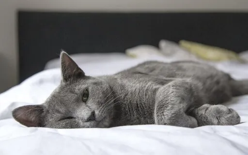 Making Room For Gratitude