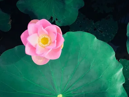 Making Room For Pain Or Discomfort