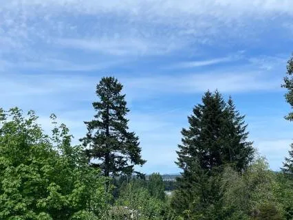 Making Space: A Guided Practice Of Release & Renewal