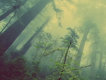 Making Space For All Of Our Feelings Throughout Pregnancy