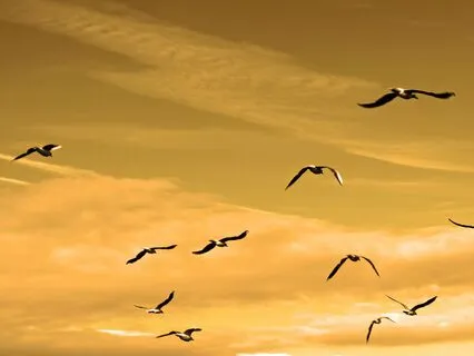 Making Space - For Deep Inner Peace And Well-Being