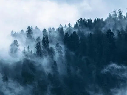 Making Space For Doubt