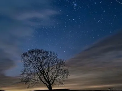 Making Space For Healing- Parts Work Guided Meditation