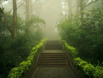 Making Space for My Next Level of Good