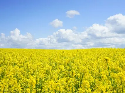 Making Space For Overwhelming Emotions