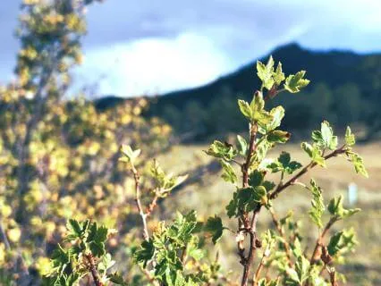 Making Space For Seasonal Change In Early Autumn