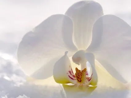 Making Space For Slowing Down - Taking Back Your Energy