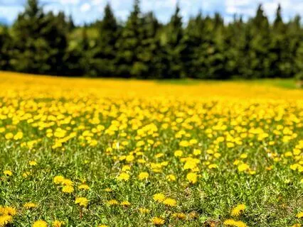 Making Space: The Invitation Of Release