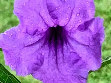 Making The Best Of Hard Times