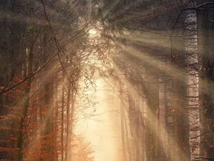 Making The Most Of This New Day