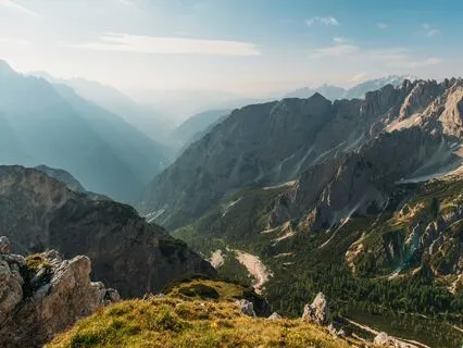 Making Wise Decisions (Short Version)