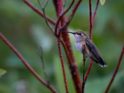 Mama Morning Affirmation