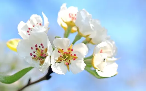 Manage Discomfort, Pain Or Anxiety With Mindfulness