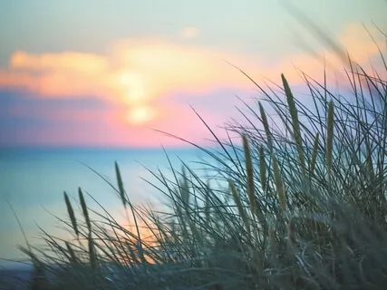 Manage Intrusive Thoughts