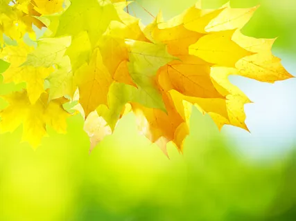 Manage Your Stress & Anxiety