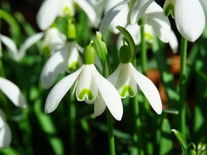 Managing Anxiety - A Fresh Perspective- January 22