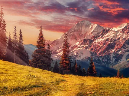 Managing Coronavirus Anxiety With Compassion