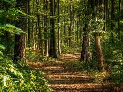 Managing Different Emotional And Physical States