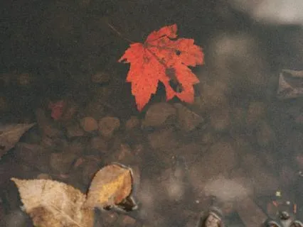 Managing Intrusive Thoughts (Reiki Infused)