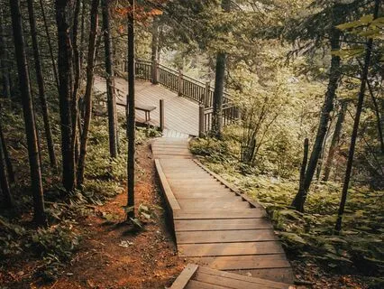 Managing Stress 10-Minute Meditation