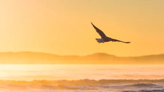 Managing Stress & Anxiety With Ease  - 20 Min Daily Insight