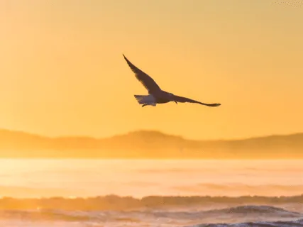 Managing Stress & Anxiety With Ease  - 5 Min Daily Insight