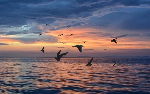 Managing The Art Of Forgiveness 1 Contemplation