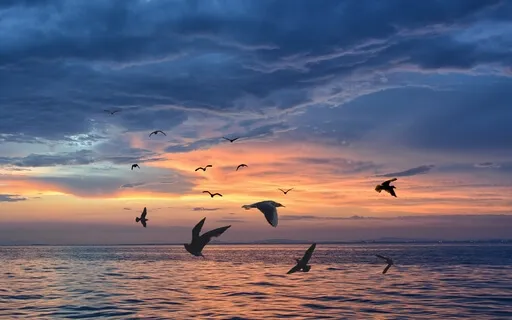 Managing The Art Of Forgiveness 1 Exercise