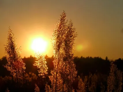 Managing Work Stress