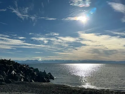 Manifestation Meditation - Desire, Dedication And Trust