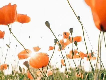 Manifest A Magical Life Sleep Meditation